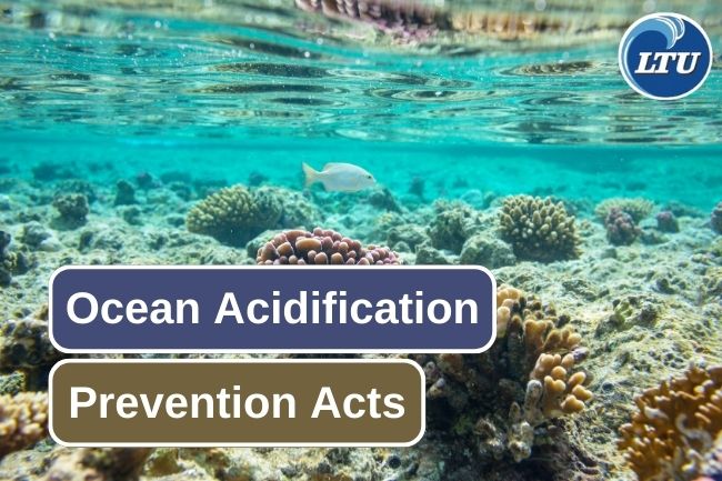 6 Ways On How To Prevent Ocean Acidification